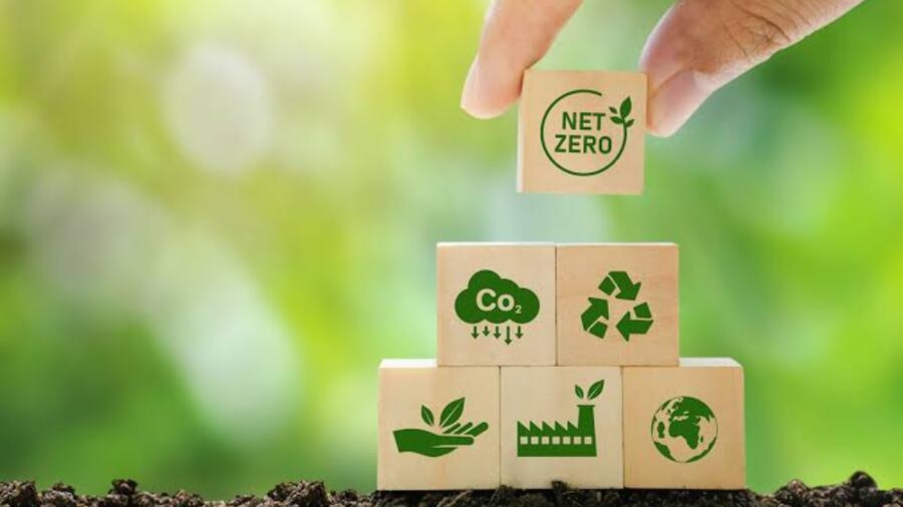 net-zero