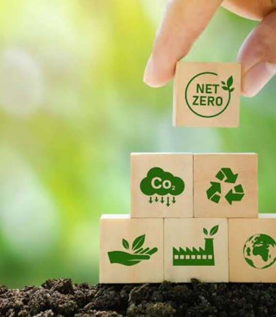 net-zero